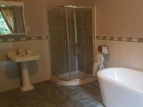 Tek Büyük Yataklı Oda, Banyolu/Duşlu (with Shower)