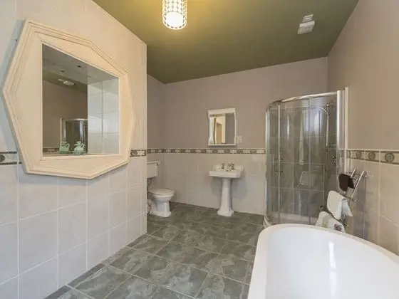 Tek Büyük Yataklı Oda, Banyolu/Duşlu (with Shower)