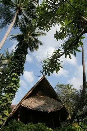 Bungalov