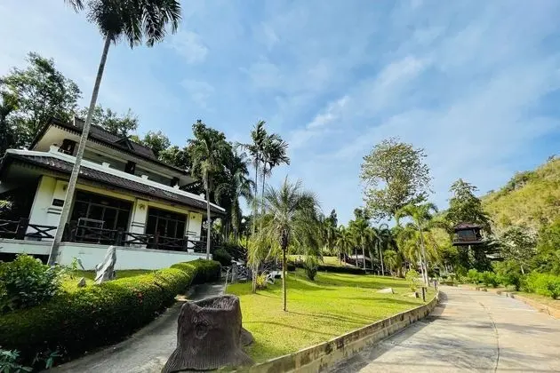 Odadan Manzara