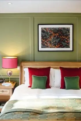 Superior Tek Büyük Yataklı Oda