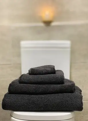 Business Kır Evi, Birden Çok Yatak, Sigara İçilmez