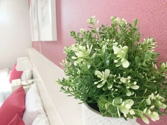 Tek Büyük Yataklı Oda, Sigara İçilmez (203, 2 Double Beds)
