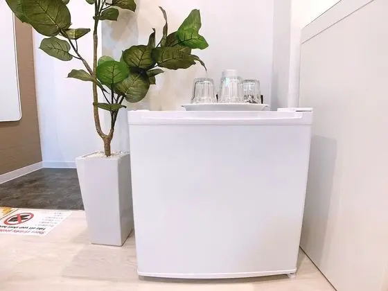 Tek Büyük Yataklı Oda, Sigara İçilmez (203, 2 Double Beds)