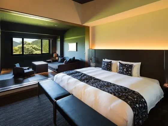Deluxe Tek Büyük Yataklı Oda (Deluxe, 46m2)