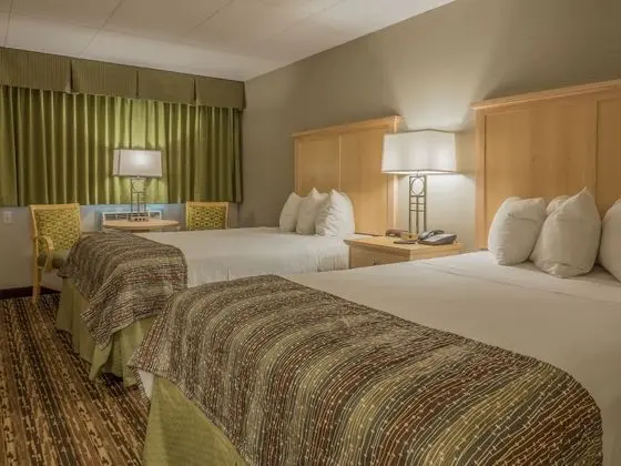 Deluxe Oda, 2 Çift Kişilik Yatak, Sigara İçilmez
