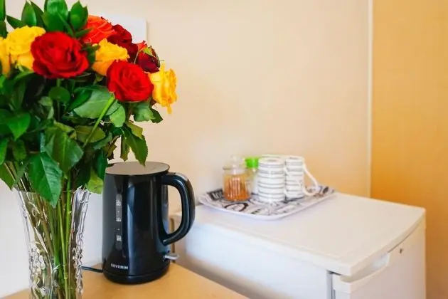 Tek Büyük Yataklı Oda, Banyolu/Duşlu