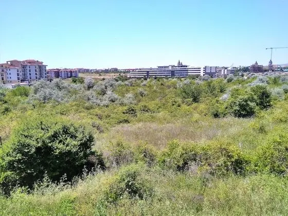 Stüdyo Süit, Balkon, Dağ Manzaralı