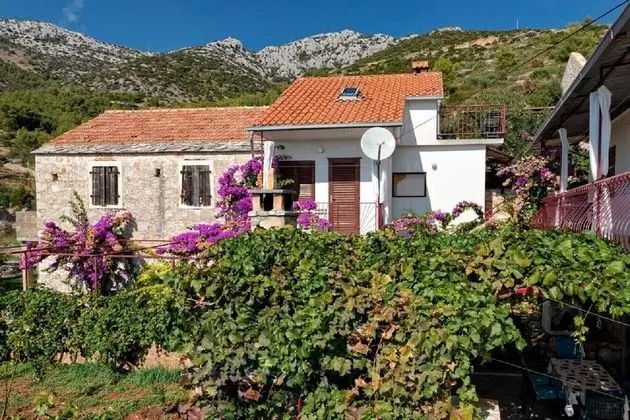 Apart Daire (Barba - Apartments with Air Condition)