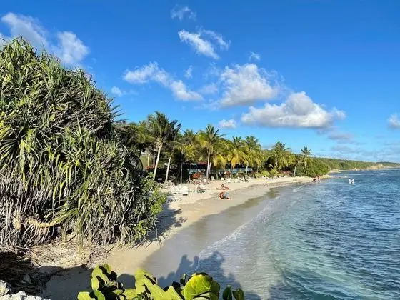 Panoramic Stüdyo Süit, Deniz Manzaralı, Havuz Kenarı (Barbadine 1013)