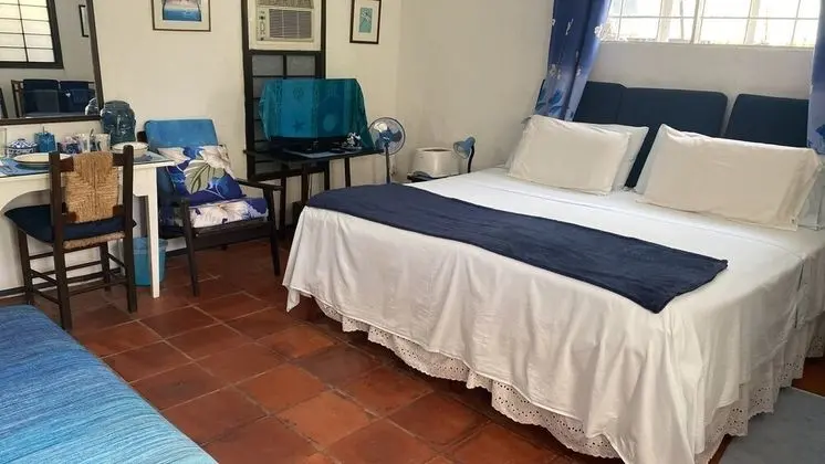 Comfort Stüdyo, 1 En Büyük (King) Boy Yatak, Bahçe Manzaralı (The Palmetto Studio)