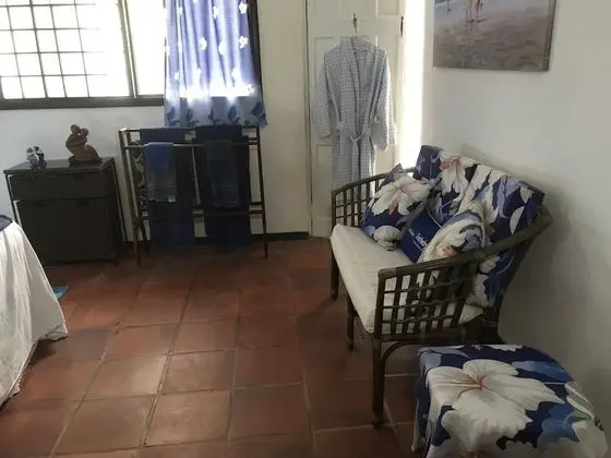 Comfort Stüdyo, 1 En Büyük (King) Boy Yatak, Bahçe Manzaralı (The Palmetto Studio)