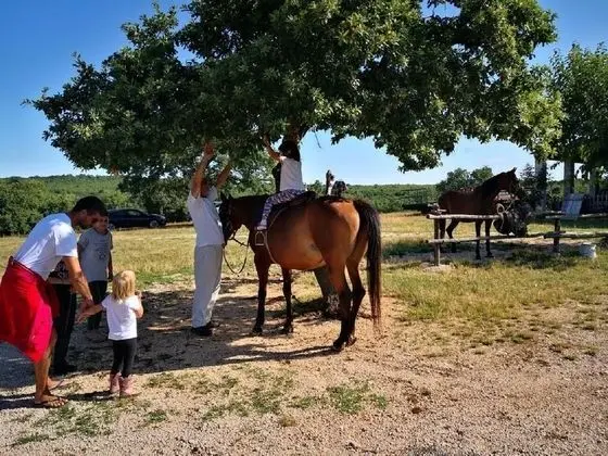 Ev (Barbara - perfect holiday - H(5))
