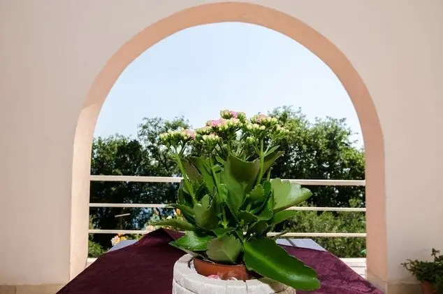 Stüdyo (Comfort Studio with Terrace)