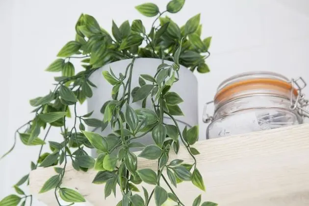 Standard Apart Daire