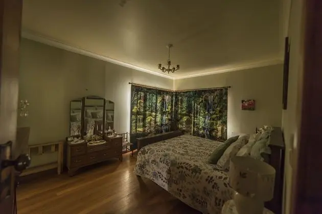 Deluxe Tek Büyük Yataklı Oda (Bascand)