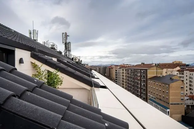 Çatı Katı Süiti (Penthouse), 1 Yatak Odası, Teras