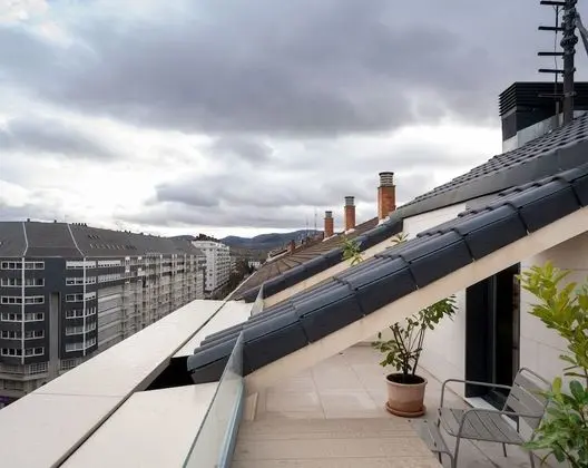 Çatı Katı Süiti (Penthouse), 1 Yatak Odası, Teras