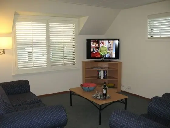 Executive Apart Daire, 3 Yatak Odası, Sigara İçilmez, Mutfak (Executive Apartment)