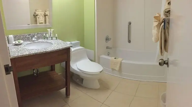 Süit, 1 En Büyük (King) Boy Yatak ve Çekyat, Engellilere Uygun (Handicap Accessible Room)