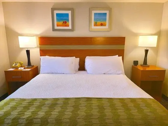 Süit, 1 En Büyük (King) Boy Yatak ve Çekyat, Engellilere Uygun (Handicap Accessible Room)