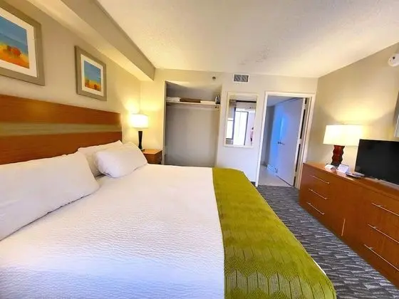 Süit, 1 En Büyük (King) Boy Yatak ve Çekyat, Engellilere Uygun (Handicap Accessible Room)