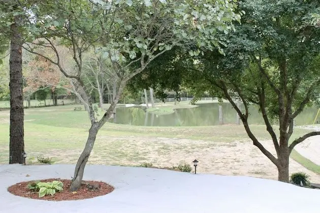 Romantic Süit, 1 En Büyük (King) Boy Yatak, Engellilere Uygun