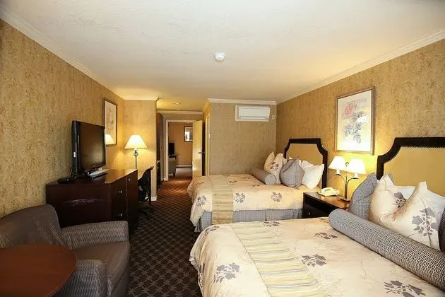 Deluxe Oda, 2 Büyük (Queen) Boy Yatak, Sigara İçilmez (Pet Friendly)