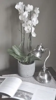 Luxury Tek Büyük Yataklı Oda
