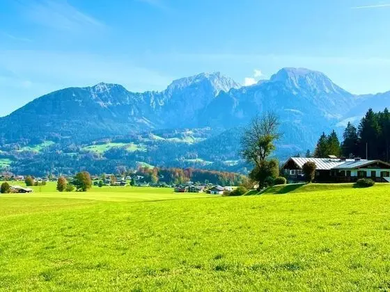 Süit