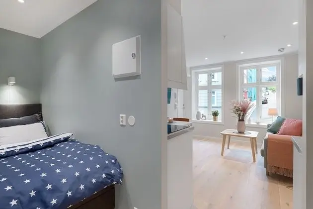 Studio apartment, ground floor
