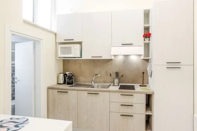 Apart Daire, 1 Yatak Odası