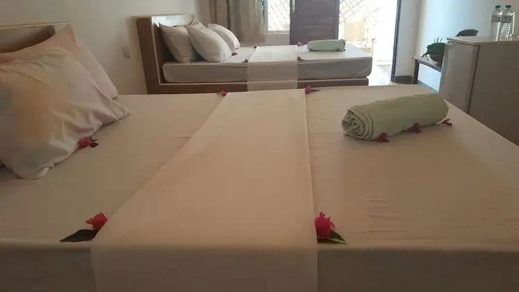 Deluxe İki Ayrı Yataklı Oda, 2 Çift Kişilik Yatak