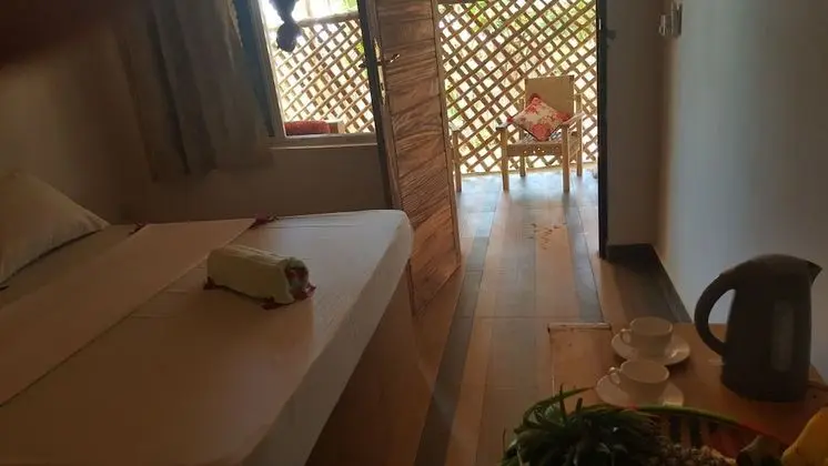 Deluxe Tek Büyük Yataklı Oda, 1 Çift Kişilik Yatak