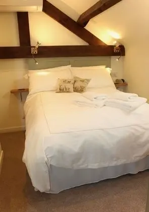 Large Single Room
