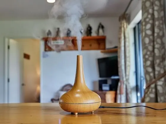 Standard Kır Evi