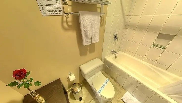 Standard Tek Büyük veya İki Ayrı Yataklı Oda
