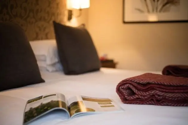 Superior Tek Büyük veya İki Ayrı Yataklı Oda