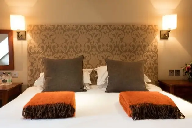 Superior Tek Büyük Yataklı Oda