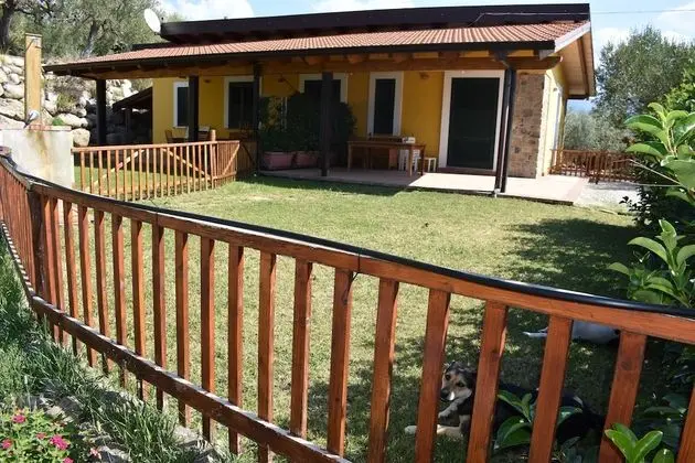 Comfort Apart Daire, 2 Yatak Odası (Mimosa)