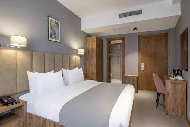 Standard Tek Büyük Yataklı Oda, 1 En Büyük (King) Boy Yatak