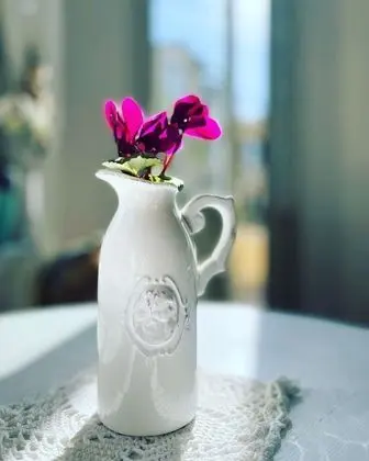 Deluxe Tek Büyük veya İki Ayrı Yataklı Oda, Banyolu/Duşlu