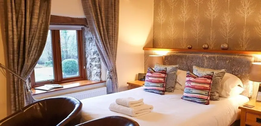 Standard Tek Büyük Yataklı Oda (room 1)