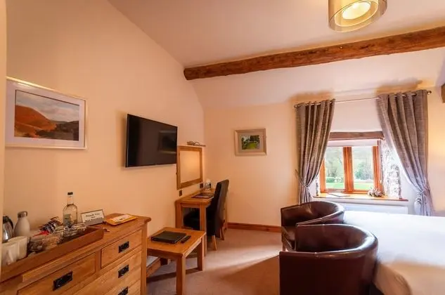 Standard Tek Büyük Yataklı Oda (room 1)