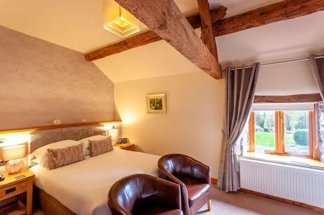 Standard Tek Büyük Yataklı Oda (room 2)