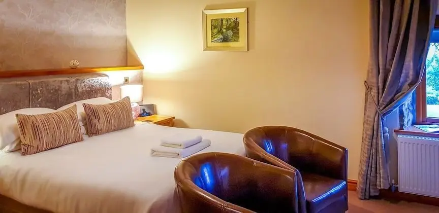 Standard Tek Büyük Yataklı Oda (room 2)