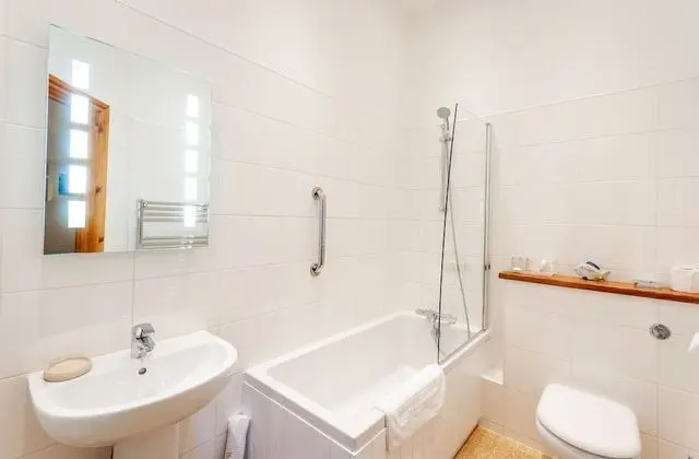 Standard Tek Büyük Yataklı Oda (room 2)