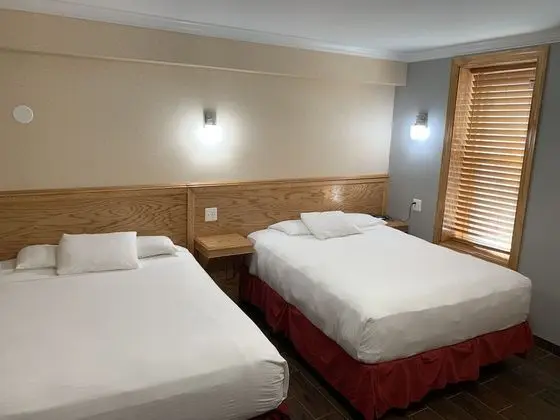 Standard Tek Büyük veya İki Ayrı Yataklı Oda, 2 Tek Kişilik Yatak