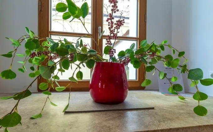 Superior Tek Kişilik Oda