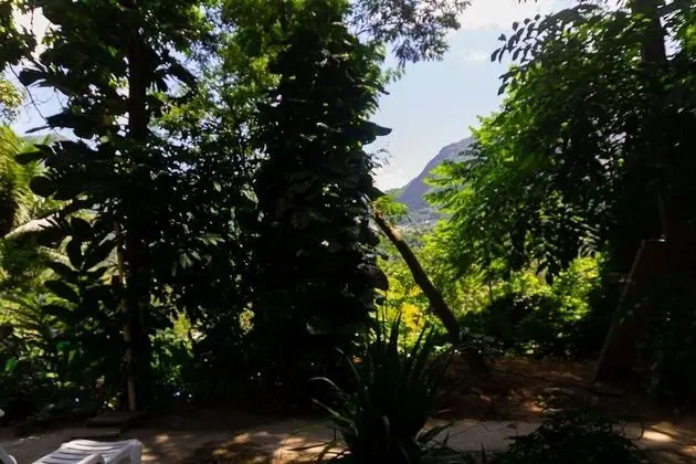 Basic Tek Büyük Yataklı Oda